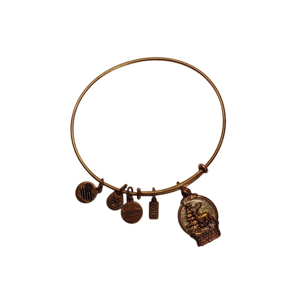 Alex and Ani Snow Globe Wonder Gold Tone Expandable Bangle Bracelet 2018